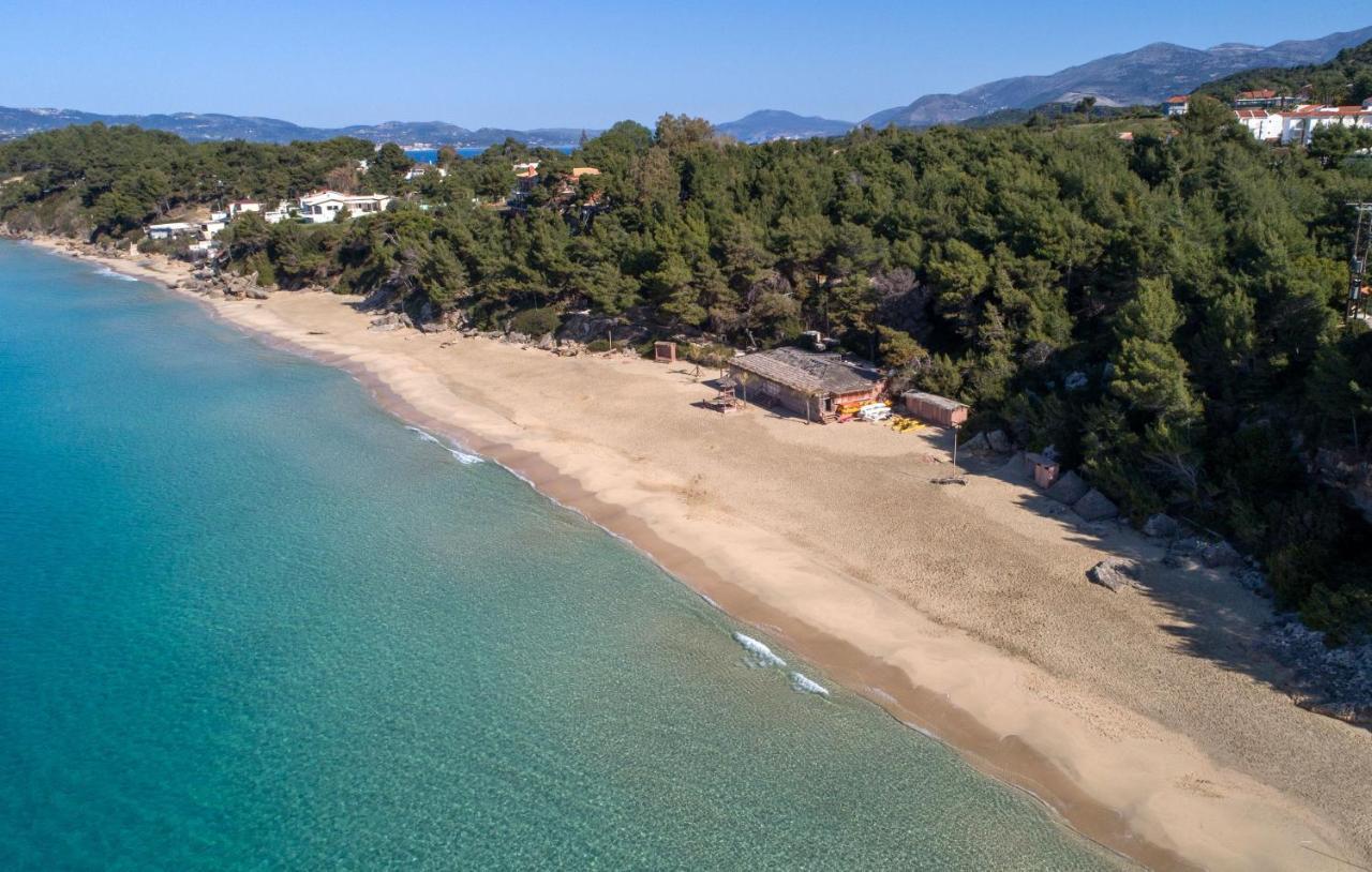 Mouikis Hotel Kefalonia アルゴストリオン エクステリア 写真